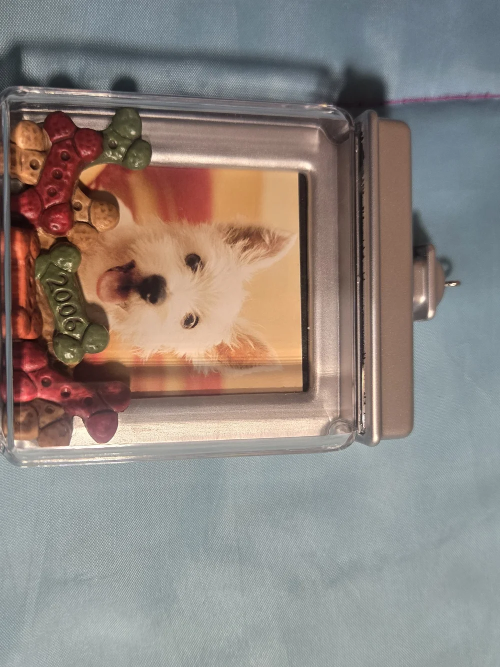 2006 Hallmark Christmas Photo Holder Ornament = Special Dog   New Or Magnet